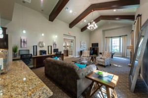 Apartments in Conroe, Texas - Clubhouse Lounge Area         